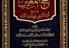 شیخ زین الدین مخدوم الصغیر