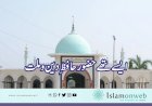 ایسے تھے حضور حافظِ دین و ملت