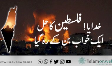 خدایا! فلسطین کا حل ایک خواب بن کے رہ گیا!!!