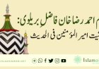 امام احمد رضا خان فاضلِ بریلوی: بحیثیت امیر المؤمنین فی الحدیث