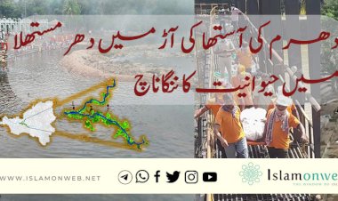 دھرم كی آستها كى آڑ میں دهر مستهلا  میں حیوانیت کا ننگاناچ