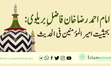 امام احمد رضا خان فاضلِ بریلوی: بحیثیت امیر المؤمنین فی الحدیث