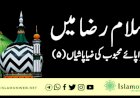 سلام رضا میں سراپائے محبوب کی ضیاپاشیاں (۵)