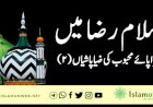سلام رضا میں سراپائے محبوبﷺ کی ضیاپاشیاں  (۲)