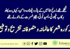 تَھکے تھے رُوحُ الاَمِیں کے بازُو، چُھٹا وہ دامن، کہاں وہ پہلو                   رِکاب چُھوٹی، اُمید ٹُوٹی، نِگاہِ حَسرت کے وَلولے تھے          مذکورہ شعر کا عالمانہ و متصوفانہ تشریح و توضیح