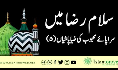 سلام رضا میں سراپائے محبوب کی ضیاپاشیاں (۵)