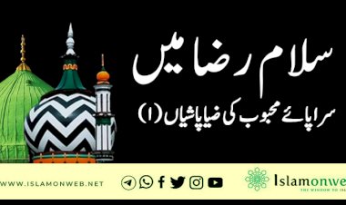سلام رضا میں سراپائے محبوبﷺ کی ضیاپاشیاں (١)
