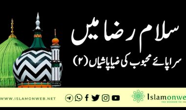 سلام رضا میں سراپائے محبوبﷺ کی ضیاپاشیاں  (۲)