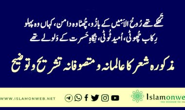 تَھکے تھے رُوحُ الاَمِیں کے بازُو، چُھٹا وہ دامن، کہاں وہ پہلو                   رِکاب چُھوٹی، اُمید ٹُوٹی، نِگاہِ حَسرت کے وَلولے تھے          مذکورہ شعر کا عالمانہ و متصوفانہ تشریح و توضیح