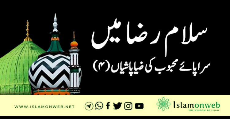 سلام رضا میں سراپائے محبوب ﷺ کی ضیا پاشیاں (۴)