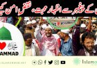 امن کے پیغمبر سے اظہار محبت، نقضِ امن کیسے؟