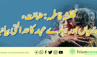 گلفشہ فاطمہ: ضمانت، پابندیاں اور ہمارے عہد کا عدالتی بیانیہ